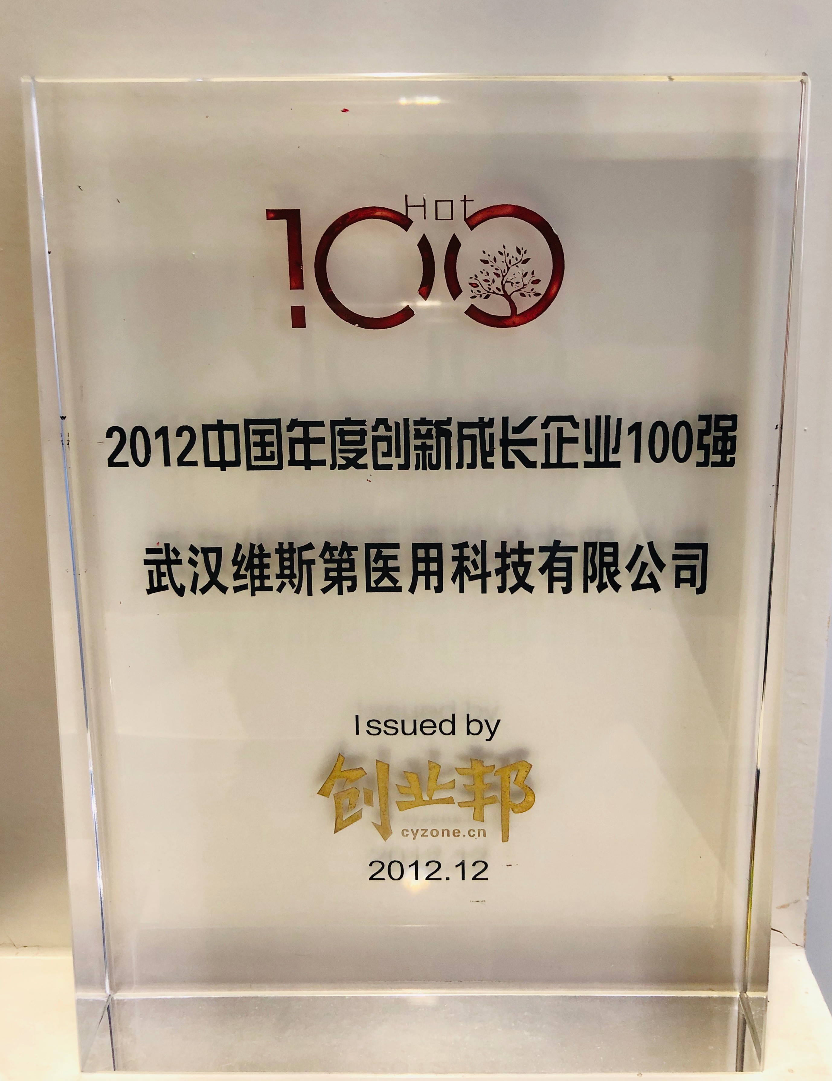 2012年中国年度创新成长企业100强